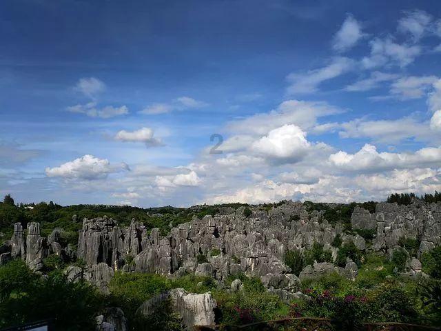 探探猫宝石岛